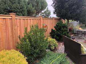 4 Sons Fencing